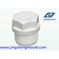 CPVC End Cap Pipe Fitting Mould